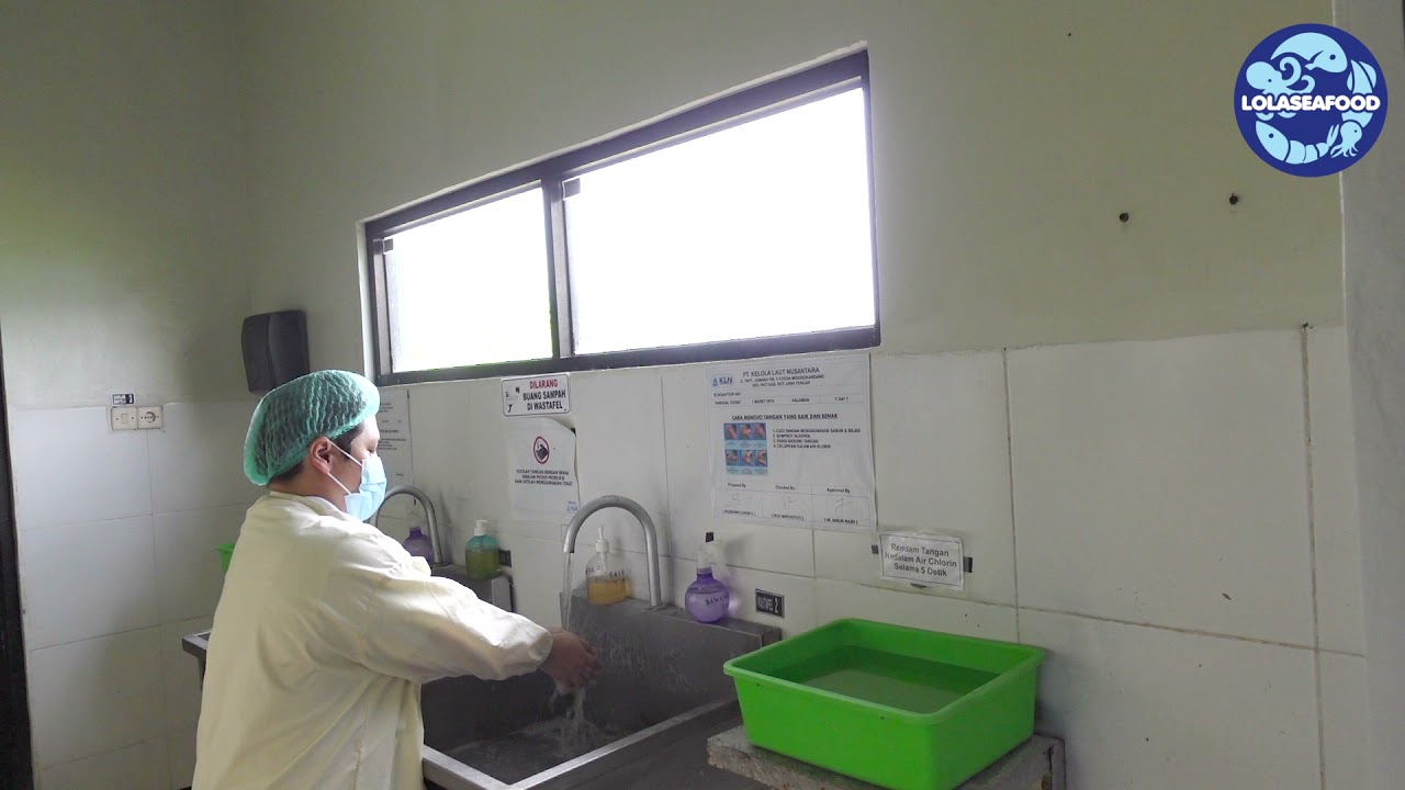 How clean you have to be when you enter a fish processing facilities ? LoLa Seafood